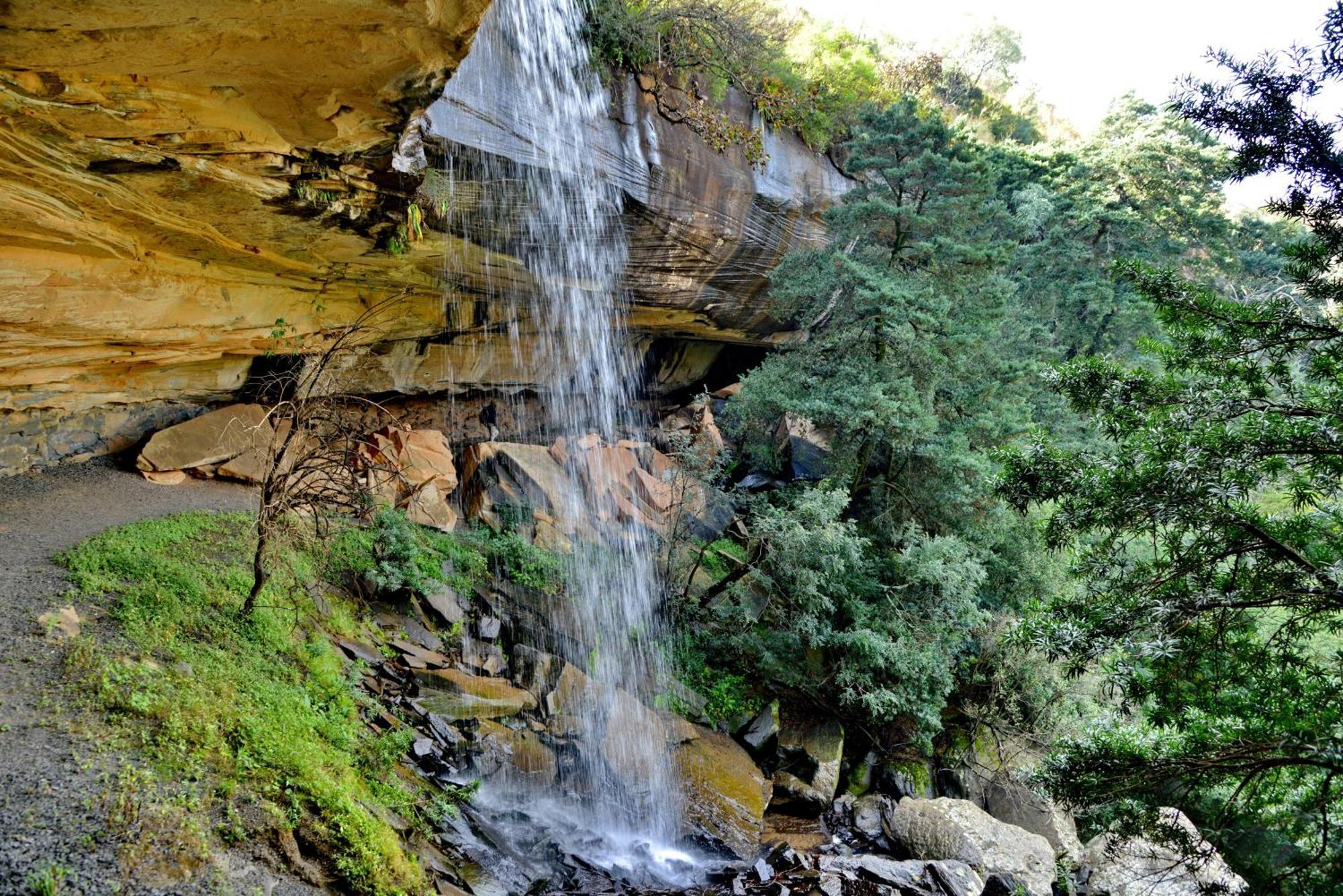 Montusi Mountain Lodge Bonjaneni Dış mekan fotoğraf